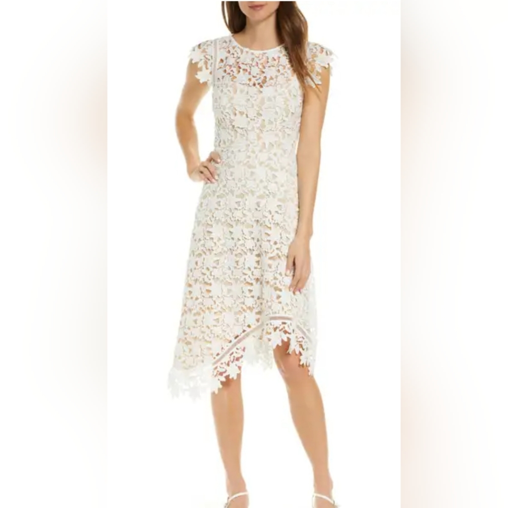Elegant Lace Dress